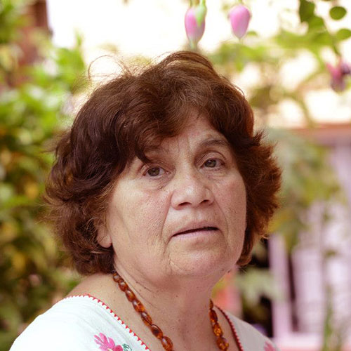 María Graciela Galarce Villavicencio